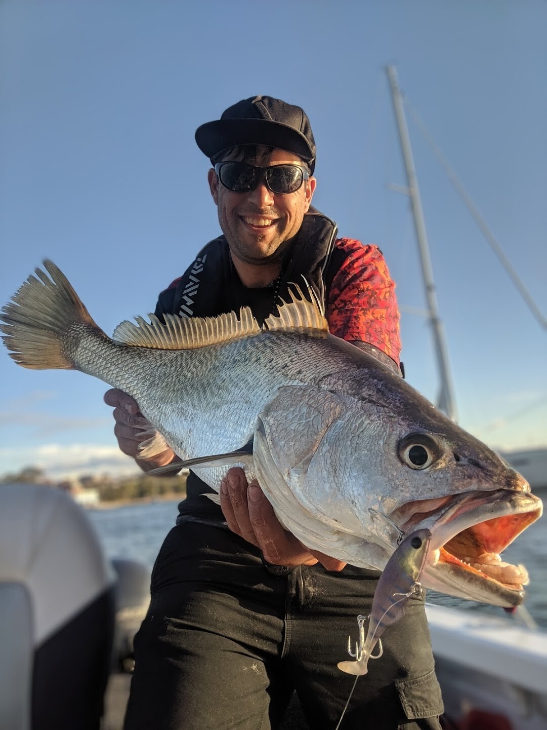 Lures for Jewfish/Mulloway, Soft Vibes and Plastics
