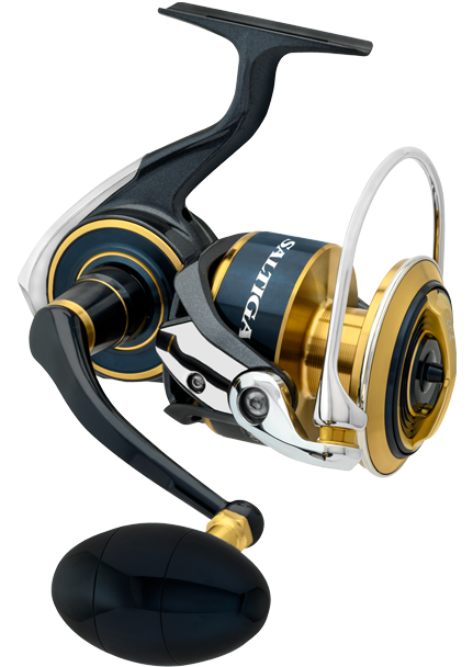 🔥NEW ARRIVALS: 2020 DAIWA AIRD X - Iso Fishing Lifestyle