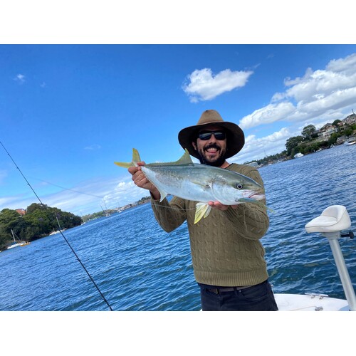 Daiwa Medium/Light Kingfish and Snapper Combo