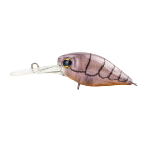 Chasebaits The Smuggler Budgie Bird Surface Walker Lure 65mm