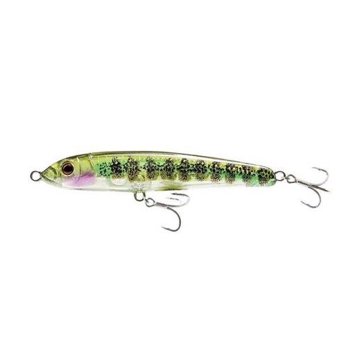 22 Nomad Riptide 95mm Fatso Top Water Fishing Lure